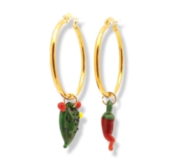 Cerchi medi peperoncino e cactus []